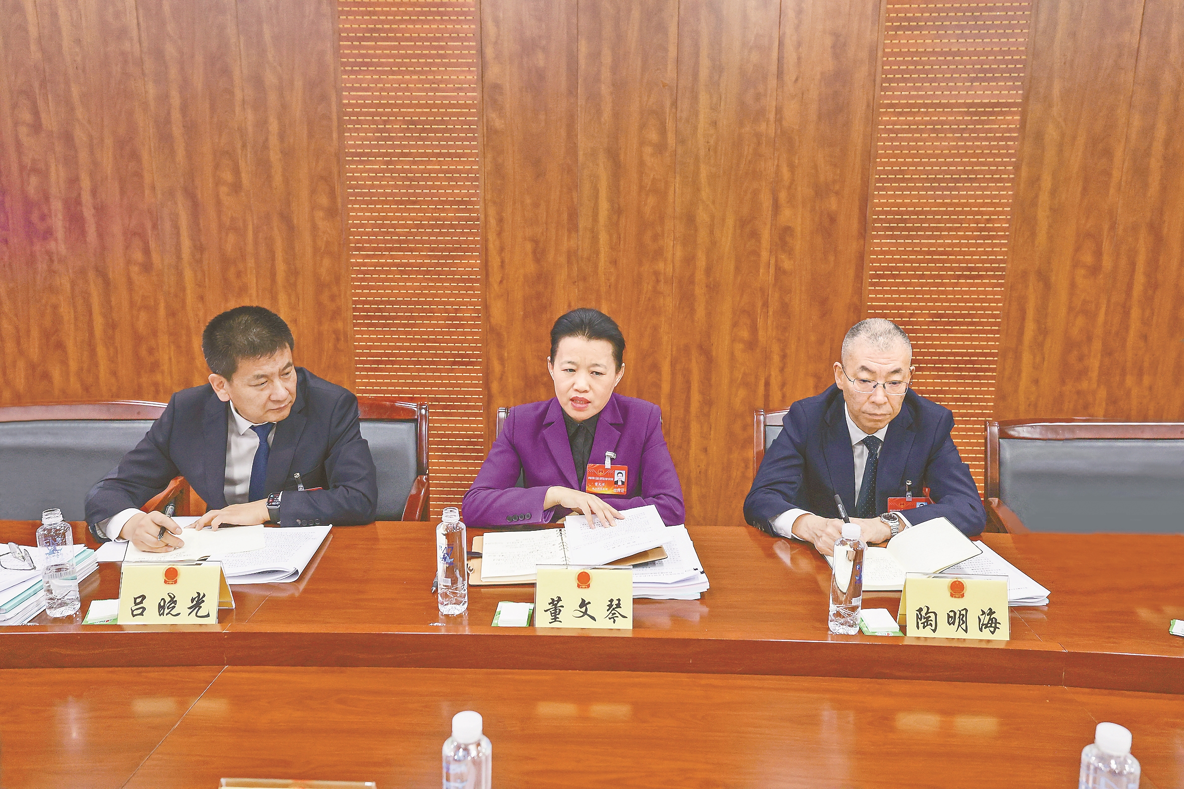 董文琴苑芳江参加市十五届人大七次会议分组审议