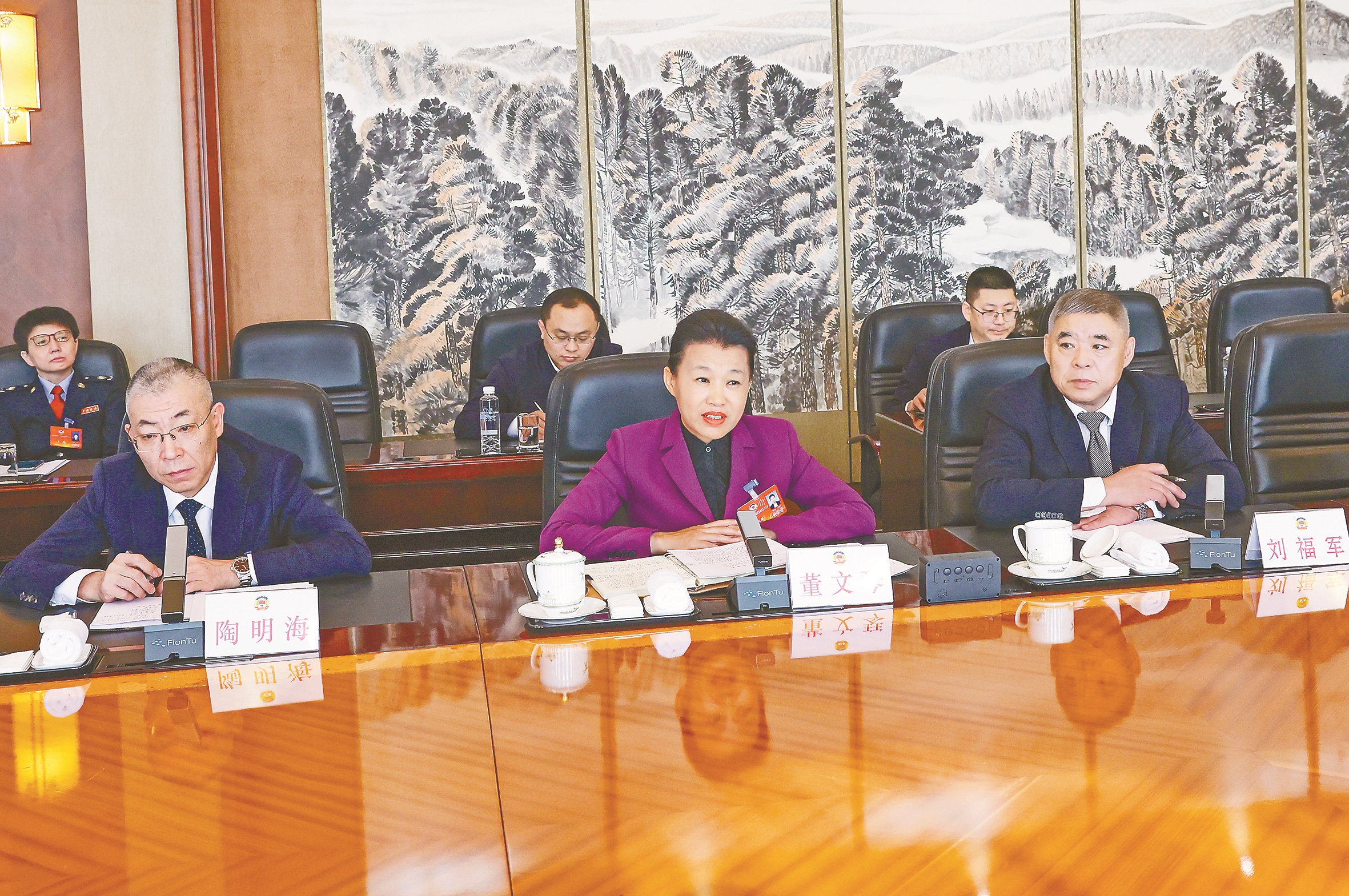 董文琴苑芳江参加市政协十二届五次会议分组讨论