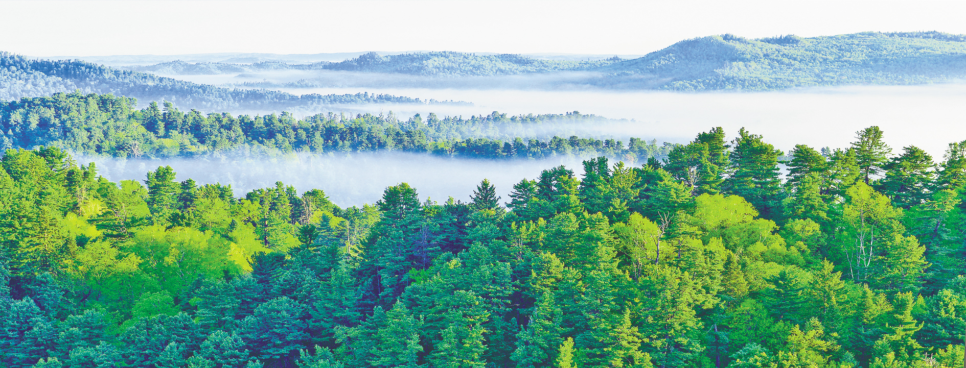 五营国家森林公园林海